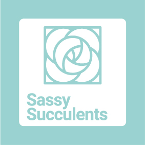 Sassy Succulents