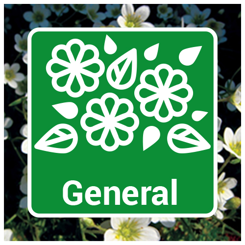 General