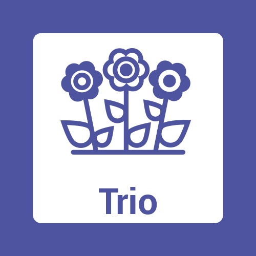 Trio